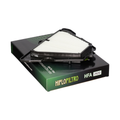 Hi-Flo Filtro Air Filter HFA2920