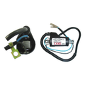 Hi Level Ignition Coil 12v DC 2 Wires (90mm)