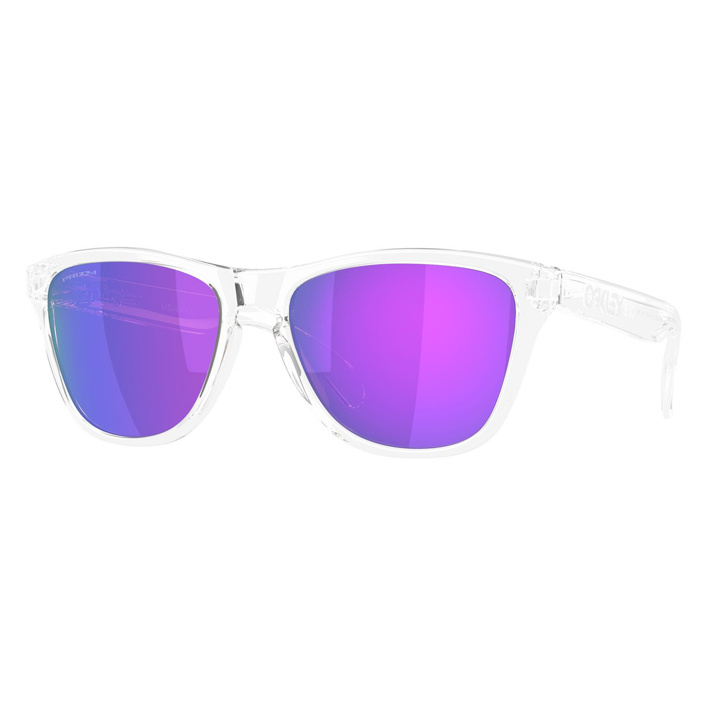 Oakley Frogskins S Sunglasses, view 2
