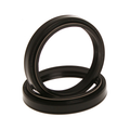 RFX Fork Seal Kit 48x58x8.5/10.5, part number FXSK 48581 55ST