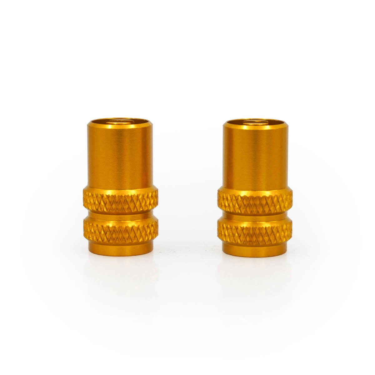 RFX Sport Valve Caps with Valve Key (2 pcs)
