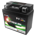 Skyrich Lithium Ion Battery LFP01
