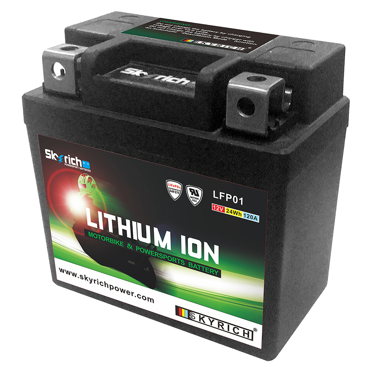 Skyrich Lithium Ion Battery LFP01
